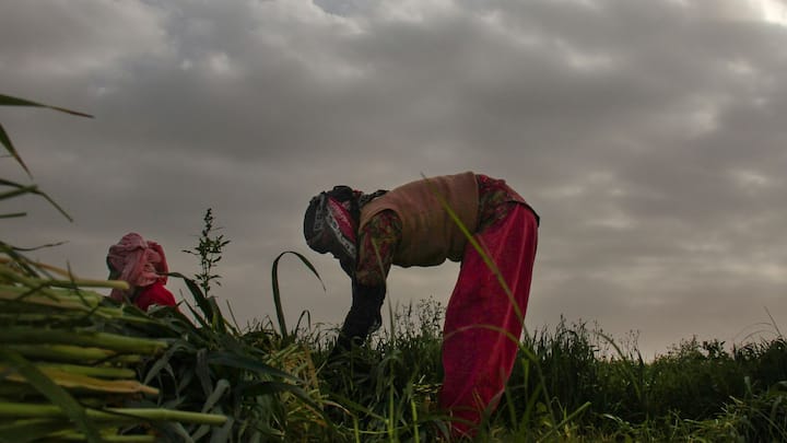 বৃহস্পতিবার উত্তরবঙ্গ ও দক্ষিণবঙ্গে সব জেলায় বিক্ষিপ্ত বৃষ্টি হতে পারে।