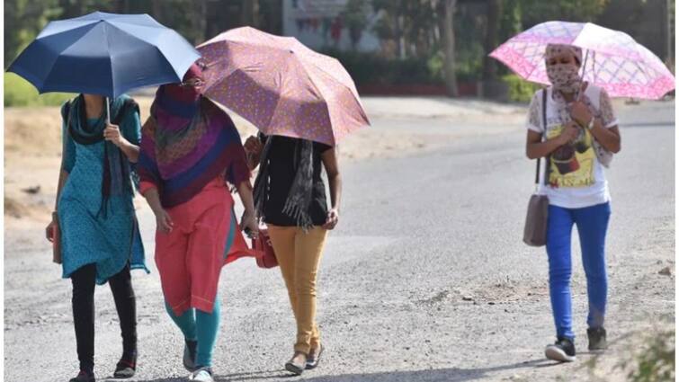 rain will decrease gradually in Tamil Nadu and the temperature will rise by 2 to 3 degrees Celsius in the next 5 days. TN Weather Update:  தமிழகத்திற்கு பாதிப்பா?  REMAL புயலின் தாக்கம் எங்கெல்லாம்? - முழு விவரம்