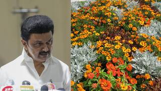 TN Headlines: வெயில் - மழை என மாறும் வானிலை; தமிழ்நாட்டின் இன்றைய தலைப்புச் செய்திகள் இதோ!