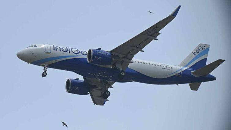 IndiGo Q4: Net Profit Soars Over 100 Per Cent YoY, Revenue Rises 26 Per Cent IndiGo Q4: Net Profit Soars Over 100 Per Cent YoY, Revenue Rises 26 Per Cent