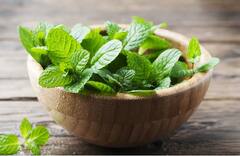 Summer Super Foods: ਗਰਮੀਆਂ ਦੇ ਮੌਸਮ 'ਚ ਖਾਸ ਤੌਰ 'ਤੇ ਕਰੋ ਇਨ੍ਹਾਂ ਚੀਜ਼ਾਂ ਦਾ ਸੇਵਨ, ਨਹੀਂ ਤਾਂ ਝੱਲਣਾ ਪੈ ਸਕਦੈ ਨੁਕਸਾਨ