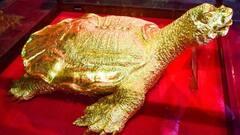 Vastu Tips: Types Of Feng Shui Turtles And Their Benefits