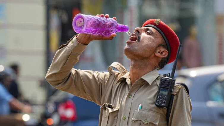 Rajasthan Five people died allegedly due to heat stroke temperature more than 48 degrees in Barmer राजस्थान में लू लगने से पांच लोगों की मौत, बाड़मेर में तापमान 48.8 डिग्री पर पहुंचा, कई जिलों में रेड अलर्ट