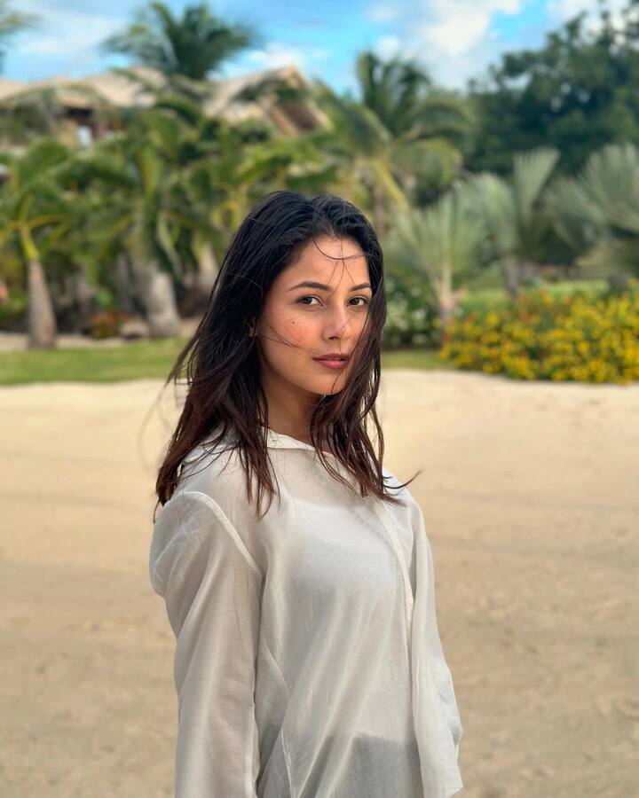 वर्कफ्रंट की बात करें तो शहनाज जल्द ही फिल्म ‘सब फर्स्ट क्लास’ में नजर आएंगी. इस फिल्म में शहनाज एक्टर वरुण शर्मा के साथ स्क्रीन शेयर करेंगी.