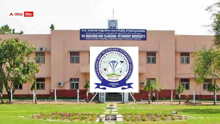 pv narasimha rao telangana veterinary university invites applications for admission into mvsc course PVNRTVU: తెలంగాణ వెటర్నరీ వర్సిటీలో ఎంవీఎస్సీ కోర్సులు, ప్రవేశం ఇలా