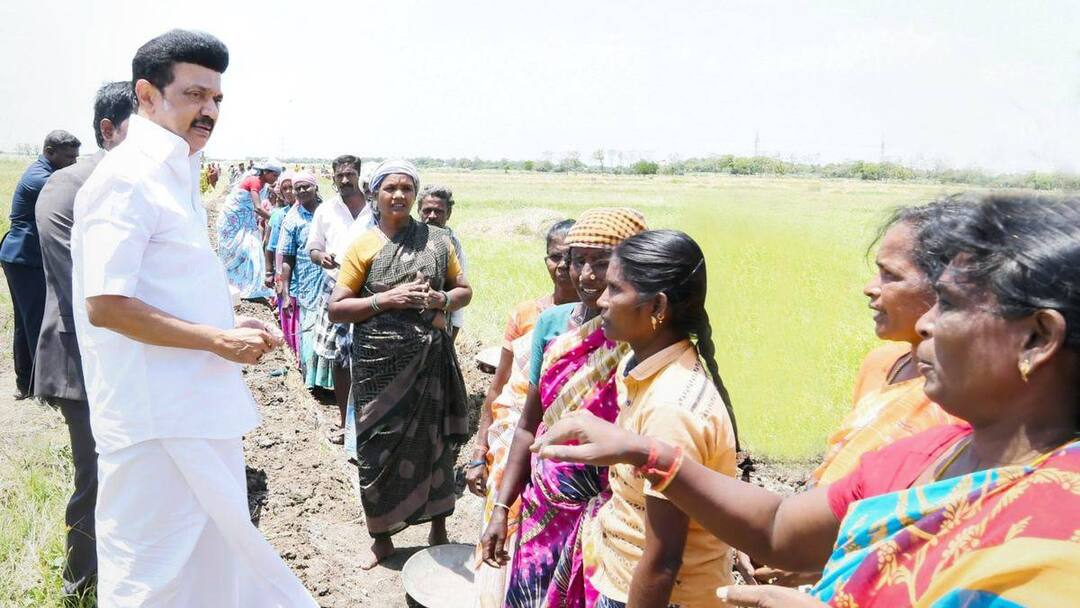 TN Government: முதலமைச்சர் ஸ்டாலினின் திட்டங்கள்..வேளாண் துறையில் முன்னணி மாநிலமாக திகழும் தமிழ்நாடு!