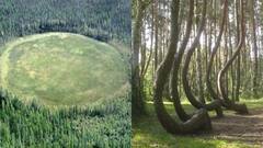 ऐसा है दुनिया का सबसे डरावना जंगल, रात में आती हैं कई आवाजें... सरकार भी नहीं देती जाने की परमिशन