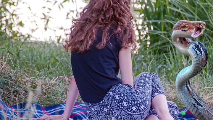 जबकि, ब्राजील की बात करें तो वहां हर साल 27,000 लोग सांप के काटे जाने का शिकार होते हैं. इसी गुत्थी को सुलझाने के लिए ब्राजील के एक वैज्ञानिक ने सांपों पर रिसर्च किया और उसने इस रिसर्च के दौरान 40,000 बार सांपों से कटवाया.