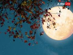 Vaishakh Purnima 2024: वैशाख पूर्णिमा आज, जिनकी कुंडली में चंद्रमा है कमजोर कर लें ये उपाय