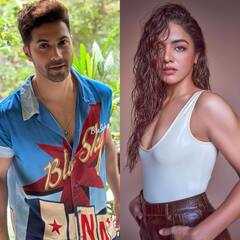 Varun Dhawan–Wamiqa Gabbi to Vikrant Massey–Mouni Roy, Fresh On-Screen Pairs In 2024; PICS