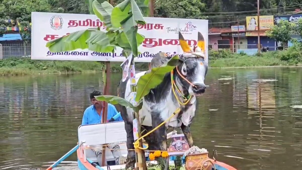 கொடைக்கானலில் கோடை விழா கொண்டாட்டம்; நாய்கள் கண்காட்சியை கண்டு ரசித்த சுற்றுலா பயணிகள்