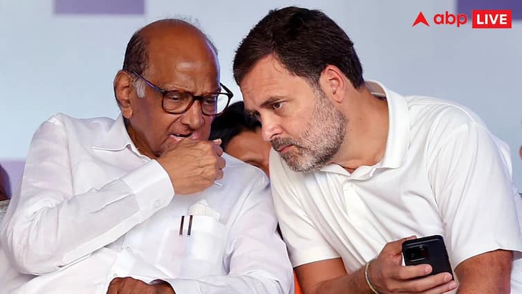 Rahul Gandhi Always wear White T Shirt he reveals reason on his birthday post video on social media know all details Rahul Gandhi Gifting White T-Shirt : कायम व्हाईट टी-शर्ट का घालता? राहुल गांधी यांच्याकडून व्हिडीओ शेअर; स्वतः सांगितलं कारण