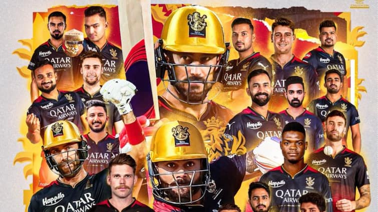 Virat Kohli 10/10 Glenn Maxwell 1 RCB Players Report Card In IPL 2024 details inside in telugu IPL 2024 Updates:ఐపీఎల్‌ 2024లో ఆర్సీబీ ఆటగాళ్లెవరు? పోటుగాళ్లు ఎవరు? ఫ్లే ఆఫ్ వరకు తీసుకొచ్చిన మొనగాళ్లెవరు?