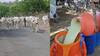 Ahmednagar News : नगरमधील दुष्काळाचं भीषण वास्तव समोर, शेतकरी दुहेरी संकटात, दूध उत्पादनात घट