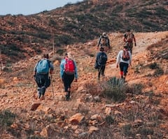 Trekking Tips : ட்ரெக்கிங் செய்வதை யாரெல்லாம் தவிர்க்க வேண்டும்?