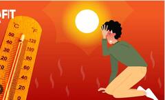 Heat Wave : ਗਰਮੀ ਦੀ ਲਹਿਰ ਦਾ ਸਭ ਤੋਂ ਵੱਧ ਖ਼ਤਰਾ ਕਿਸ ਨੂੰ ਹੁੰਦਾ ਹੈ, ਆਪਣੇ ਆਪ ਨੂੰ ਗਰਮੀ ਦੀ ਲਹਿਰ ਤੋਂ ਕਿਵੇਂ ਬਚਾਇਆ ਜਾਵੇ