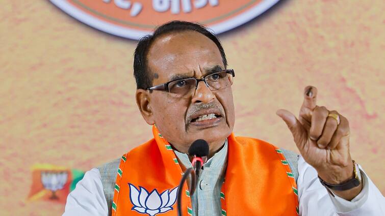 Lok Sabha Election 2024 Shivraj Singh Chouhan Claims BJP Will Win 370 Seat Lok Sabha Election 2024: अब शिवराज की भविष्यवाणी, दो चरण पहले ही बता दिया अकेले कितनी सीटें जीत रही BJP