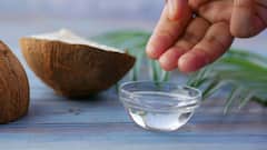 Ayurvedic Tips: গরমের মরশুমে শরীর ঠান্ডা রাখতে কী কী করবেন? রইল আয়ুর্বেদের কিছু টিপস