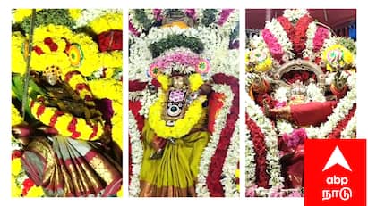 Mayiladuthurai district various Temple theemithi festival - TNN மயிலாடுதுறை மாவட்டம் பல்வேறு கோயில்களில் தீமிதி உற்சவம் - திரளான பக்தர்கள் நேர்த்திக்கடன்