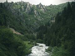 ਕਿਉਂ ਉਲਟੀ ਵਹਿ ਰਹੀ ਹੈ ਨਰਮਦਾ ਨਦੀ, ਜਾਣੋ ਵਿਗਿਆਨਕ ਕਾਰਨ