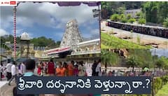 తిరుమల వెళ్లే వీఐపీలకు షాకింగ్ న్యూస్ - ఈ రోజుల్లో వెళ్లకపోవడమే ఉత్తమం, సామాన్య భక్తులూ..