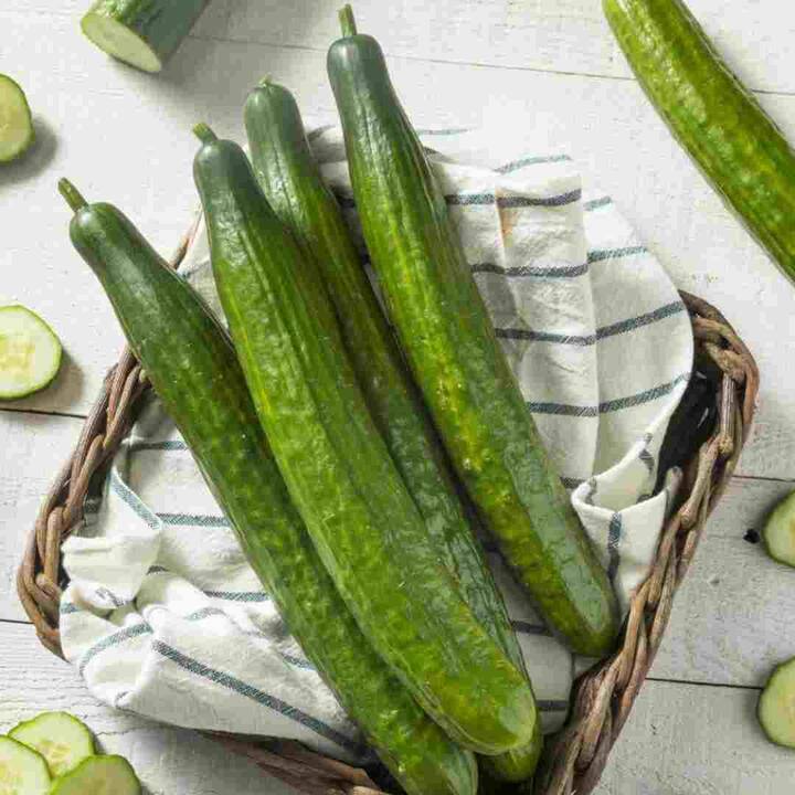 ਇਸ 'ਚ ਐਂਟੀ-ਆਕਸੀਡੈਂਟ, ਵਿਟਾਮਿਨ ਕੇ, ਵਿਟਾਮਿਨ ਸੀ, ਮੈਗਨੀਸ਼ੀਅਮ ਵਰਗੇ ਪੋਸ਼ਕ ਤੱਤ ਵੀ ਪਾਏ ਜਾਂਦੇ ਹਨ। ਰੋਜ਼ਾਨਾ ਖੀਰਾ ਖਾਣ ਨਾਲ ਪਾਚਨ ਕਿਰਿਆ ਠੀਕ ਰਹਿੰਦੀ ਹੈ ਅਤੇ ਮੈਟਾਬੋਲਿਜ਼ਮ ਵੀ ਤੇਜ਼ ਰਹਿੰਦਾ ਹੈ। ਕਈ ਵਾਰ ਅਜਿਹਾ ਹੁੰਦਾ ਹੈ ਕਿ ਅਸੀਂ ਬਜ਼ਾਰ ਤੋਂ ਖੀਰਾ ਖਰੀਦਦੇ ਹਾਂ ਅਤੇ ਉਹ ਕੌੜਾ ਨਿਕਲਦਾ ਹੈ। ਅਜਿਹੇ 'ਚ ਸਾਰਾ ਸਵਾਦ ਖਰਾਬ ਹੋ ਜਾਂਦਾ ਹੈ।