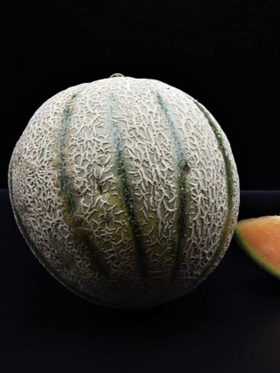 ये हैं दुनिया के सबसे महंगे फल