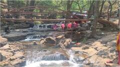 पर्यटकों से गुलजार हुई सतपुड़ा की रानी पचमढ़ी, गर्मी की छुट्टियों पर लोगों को भाया 'मिनी कश्मीर'