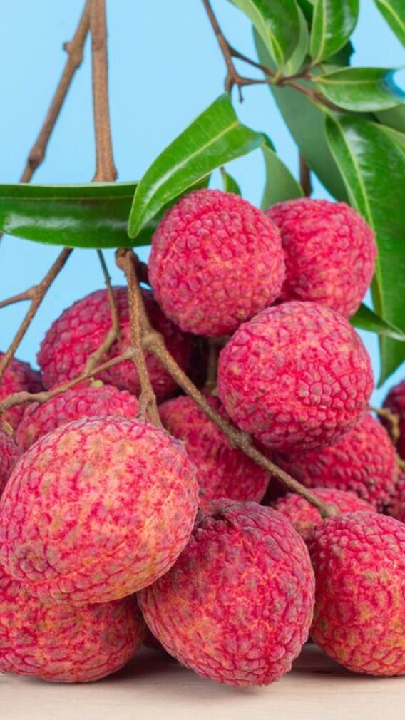 లిచీ తింటే కలిగే లాభనష్టాలు ఇవే