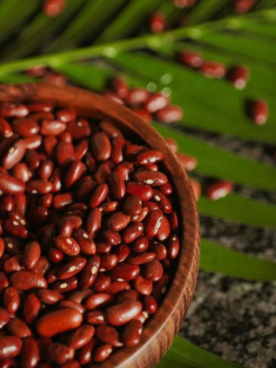 राजमा के सेवन से होते हैं ये नुकसान