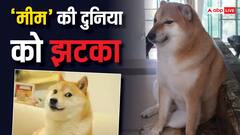 हर 'मीम' पर दिखने वाले ये 2 डॉग्स अब नहीं रहे, जानिए क्या था इनका नाम