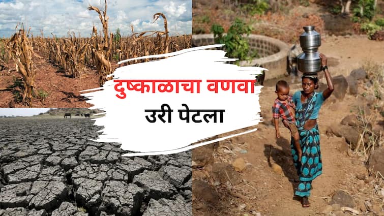 Maharashtra Drought terrible reality of severe drought in marathwada rain water crisis marathi news update  Maharashtra Drought : दुष्काळाचा वणवा उरी पेटला! महाराष्ट्राच्या घशाला कोरड अन् डोक्यावर दुष्काळाचे ढग