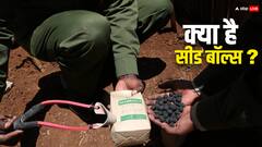 क्या है सीड बॉल्स? किस वजह से केन्या में इनका किया जा रहा इस्तेमाल, आने वाले समय में बाकी देशों को भी पड़ेगी जरूरत!