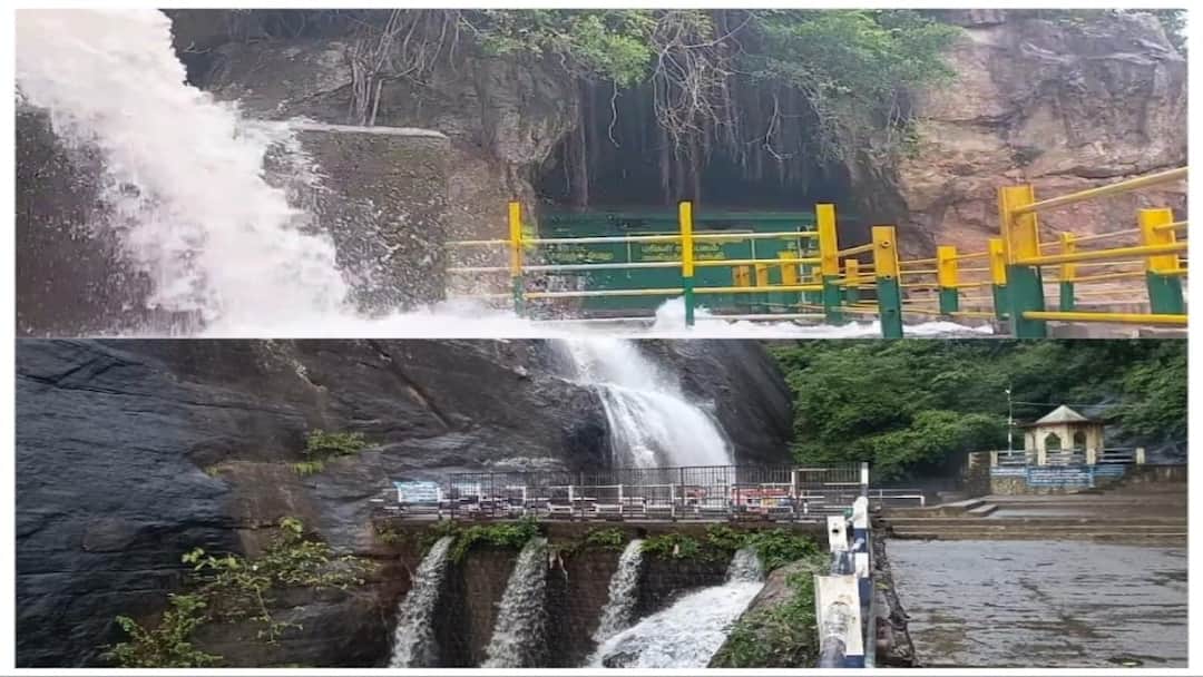 நெல்லை, தென்காசி மாவட்ட அருவிகள் மற்றும் பதிவாகியுள்ள  மழையளவு குறித்த வானிலை செய்திகள் இதோ...!