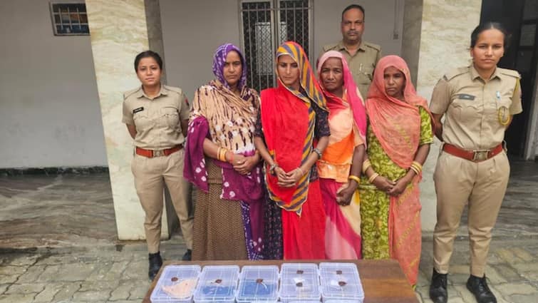 Udaipur Women Thief Gang Busted stole gold worth lakhs committed 100 incidents in temples ann उदयपुर में महिलाओं की लुटेरी गैंग का खुलासा, मंदिरों और धार्मिक जुलूसों में 100 की वारदात, लाखों का सोना उड़ाया