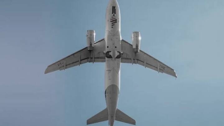 एक्सपर्ट के मुताबिक सभी कमर्शियल,सैन्य और जेट एयरलाइन में नैकेल स्ट्रेक्स लगाए गए हैं. एयरबस ए 320 और बोइंग 737 जैसी नैरोबॉडी से लेकर बोइंग 777 और 787 तक में इन्हें इस्तेमाल किया जाता है.