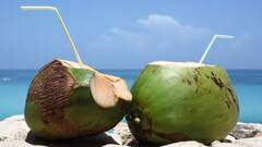 Health Tips: ডায়াবেটিসের রোগীদের কি গরমে ডাবের জল পান করা উচিত ? কী প্রভাব পড়বে সুগার লেভেলে ?