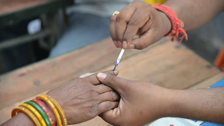 Voting for the sixth phase of Lok Sabha elections 2024 ends Lok Sabha Election: લોકસભા ચૂંટણી 2024 માટે છઠ્ઠા તબક્કાનું મતદાન પૂર્ણ, જાણો કેટલા ટકા થયું વોટિંગ