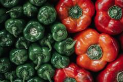 Capsicum Cultivation: शिमला मिर्च की खेती भी आपको कर सकती है मालामाल, जानें कितना होता है खर्च