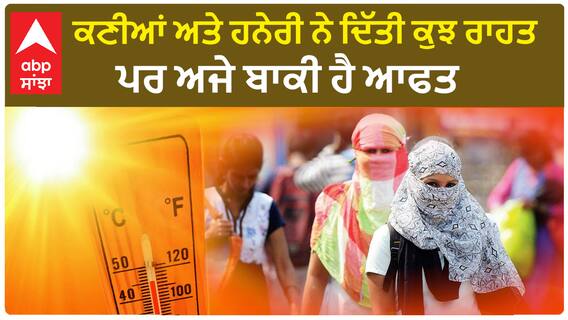 Punjab Weather | ਤਾਪਮਾਨ 49 ਡਿਗਰੀ ਸੈਲਸੀਅਸ ਤੱਕ ਜਾ ਸਕਦਾ