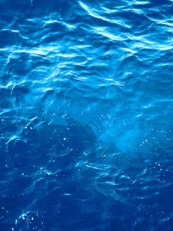 क्या प्यास लगने पर पी सकते हैं समुद्र का पानी