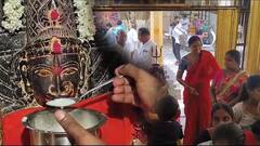 Pochamma Sips Milk | పాలు పాగుతున్న పోచమ్మ తల్లి..నిజమేనా.?