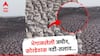 भेगाळलेली जमीन, कोरडेठाक नदी-तलाव; मराठवाड्याच्या दुष्काळकथांनी महाराष्ट्र सुन्न!
