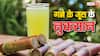 Sugarcane Juice: गर्मी के दिनों में आप भी पीते हैं गन्ने का जूस, तो हो जाएं सावधान