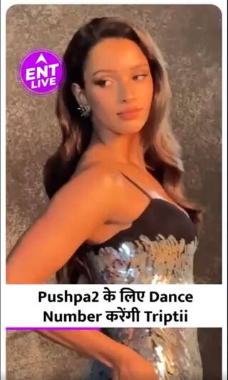Pushpa 2 में Dance Number करेंगी Triptii, Vikrant Massey की 'Blackout' का पहला Track हुआ Out