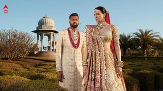 Hardik-Natasa Divorce: হার্দিকের সঙ্গে বিবাহবিচ্ছেদ নিয়ে প্রশ্নের মুখে কী জবাব দিলেন নাতাশা?