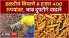 Turmeric Price Hike : हळदीच्या बियाण्याचा भाव 8 हजार 400 रुपये क्विंटलवर