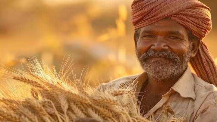 PM Kisan Yojana: PM કિસાન સન્માન નિધિ યોજનાનો 16મો હપ્તો આવી ગયો છે. હવે ખેડૂતો 17મા હપ્તાની રાહ જોઈ રહ્યા છે. 17મો હપ્તો આવે તે પહેલાં તમારા માટે બે વસ્તુઓ કરવી ખૂબ જ મહત્વપૂર્ણ છે.