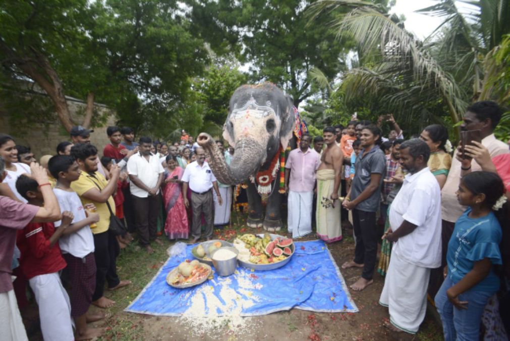 22வது பிறந்தநாளை கோலாகலமாக கொண்டாடிய ‘அகிலா’...  ஸ்பெஷல் விருந்துடன் செம கவனிப்பு