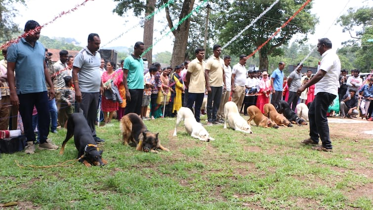 Yercaud Summer Festival Dog Show Attracts Tourists Attention - TNN Yercaud Dog Show 2024: ஏற்காடு கோடை விழாவில் சுற்றுலா பயணிகளை கவர்ந்த நாய்கள் கண்காட்சி